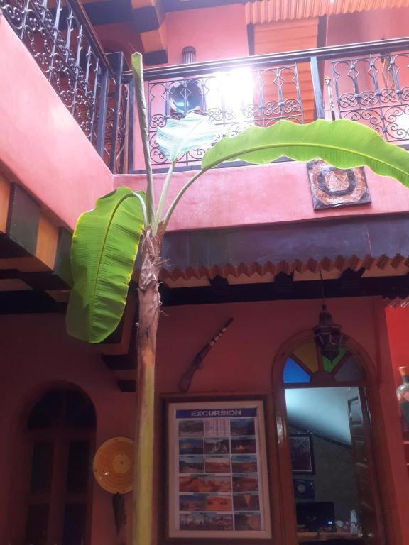 Riad Hanafi Marrakesh Exteriör bild